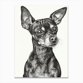 Miniature Pinscher Dog Line Sketch 3 Canvas Print