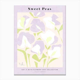 Lilac Sweet Peas Canvas Print