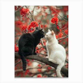 Black Cat And A White Cat Sitting In Love On A Tree Branch With Red Flowers Canvas Print