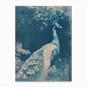 Vintage Cyanotype Inspired Peacock Canvas Print