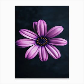 Purple Flower 2 Canvas Print