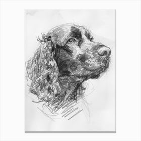 American Water Spaniel Dog Charcoal Line 1 Canvas Print
