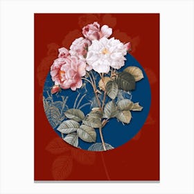 Vintage Botanical Pink Damask Rose on Circle Blue on Red n.0143 Canvas Print