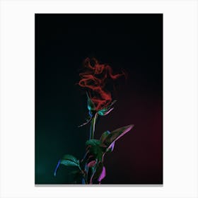 Fading Surreal Rose Canvas Print