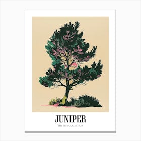 Juniper Tree Colourful Illustration 2 Poster Canvas Print