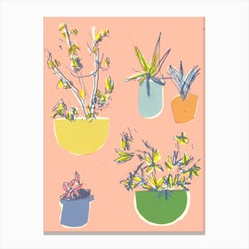 Plants On The Terrace Canvas Print