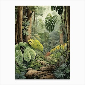 Vintage Jungle Botanical Illustration Swiss Cheese Plant 3 Canvas Print