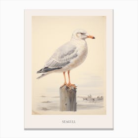 Vintage Bird Drawing Seagull 1 Poster Canvas Print