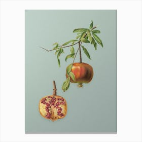 Vintage Pomegranate Botanical Art on Mint Green n.0466 Canvas Print
