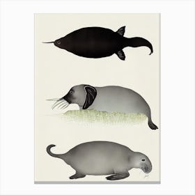 Elephant Seal Vintage Poster Canvas Print