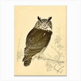 Verreauxs Eagle Owl Vintage Illustration 1 Canvas Print
