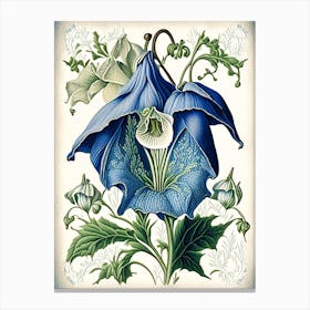 Canterbury Bell 2 Floral Botanical Vintage Poster Flower Canvas Print