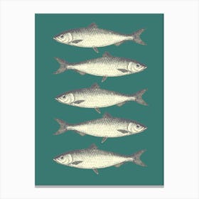 Sardines - Green Canvas Print