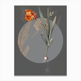 Vintage Botanical Ixia Miniata on Circle Gray on Gray n.0048 Canvas Print