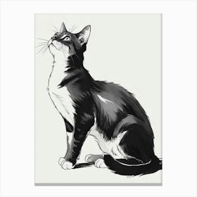 Cat Drawing 5 Canvas Print