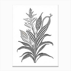 Comfrey Herb William Morris Inspired Line Drawing 2 Canvas Print