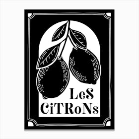 Les Citrons Lemons Black and White Print 3 Canvas Print