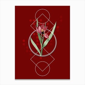 Vintage Tulipa Oculus Colis Botanical with Geometric Line Motif and Dot Pattern n.0082 Canvas Print