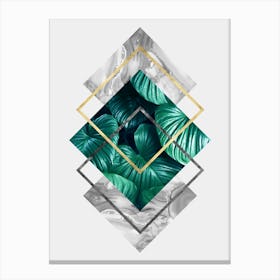 Geometric and botanical C Canvas Print