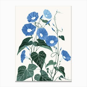 Morning Glory 5 Canvas Print