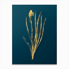 Vintage Siberian Iris Botanical in Gold on Teal Blue n.0187 Canvas Print