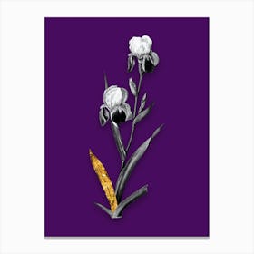 Vintage Elder Scented Iris Black and White Gold Leaf Floral Art on Deep Violet n.1046 Canvas Print