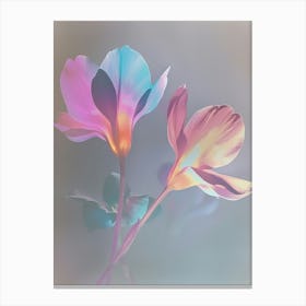 Iridescent Flower Cyclamen 3 Canvas Print