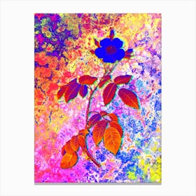 Big Leaved Climbing Rose Botanical in Acid Neon Pink Green and Blue n.0329 Canvas Print