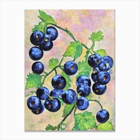 Black Currant Vintage Sketch Fruit Canvas Print