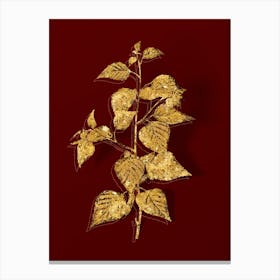 Vintage Black Birch Botanical in Gold on Red n.0109 Canvas Print