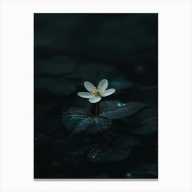 Single Flower In Water 22 Canvas Print