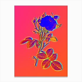 Neon White Provence Rose Botanical in Hot Pink and Electric Blue Canvas Print