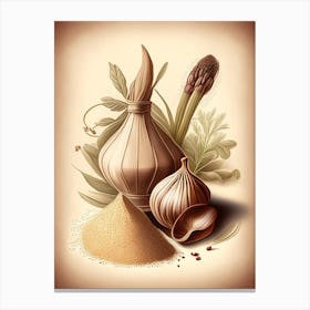 Onion Powder Spices And Herbs Retro Drawing 1 Canvas Print