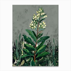 Lily Of The Valley 14 Canvas Print