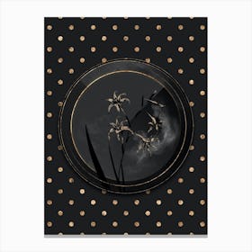 Shadowy Vintage Gladiolus Cuspidatus Botanical in Black and Gold n.0069 Canvas Print