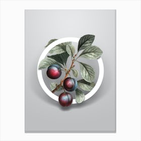 Vintage Cherry Plum Minimalist Flower Geometric Circle on Soft Gray n.0488 Canvas Print