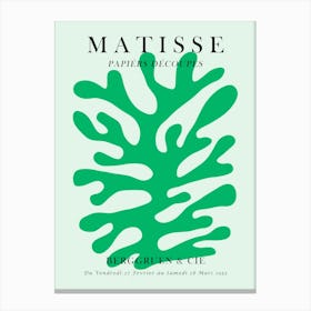 Floral matisse 2 Canvas Print