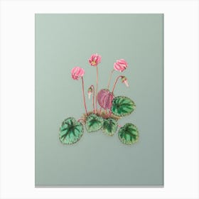 Vintage Shore Cyclamen Flower Botanical Art on Mint Green n.0389 Canvas Print