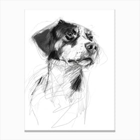Entlebucher Mountain Dog Charcoal Line 1 Canvas Print