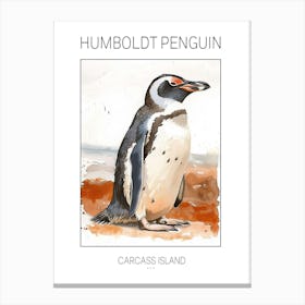 Humboldt Penguin Carcass Island Watercolour Painting 1 Poster Canvas Print