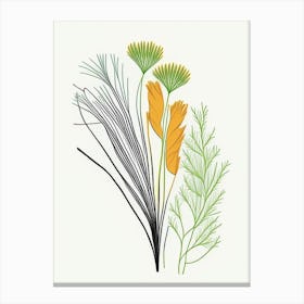 Fennel Seed Spices And Herbs Minimal Line Drawing 2 Canvas Print