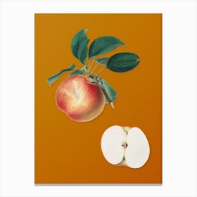 Vintage Apple Botanical on Sunset Orange 1 Canvas Print