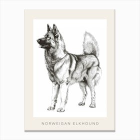 Norweigan Elkhound Dog Line Sketch 1 Poster Canvas Print