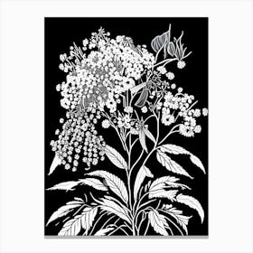 Elderberry Blossom Wildflower Linocut 1 Canvas Print
