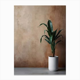 Plant In A Pot Canvas Print