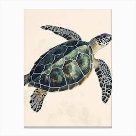 Isolated Sea Turtle 2 Canvas Print