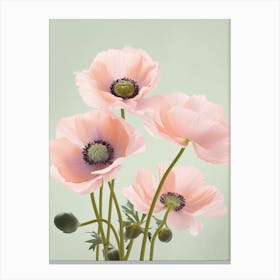 Anemone Flowers Acrylic Pastel Colours 2 Canvas Print