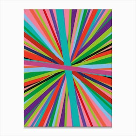 Colour Burst #2 Canvas Print