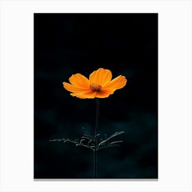 Single Flower 5 Canvas Print