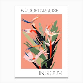 Bird Of Paradise In Bloom Flowers Bold Illustration 1 Canvas Print